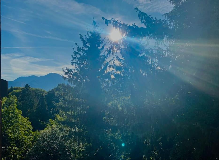 Appartamento T2 Cocon Avec Balcon Et Parking La Roche-sur-Foron Esterno foto