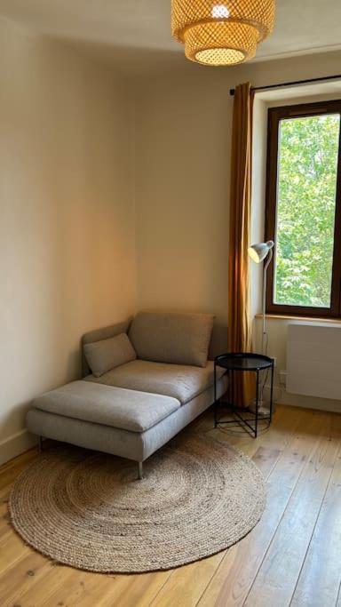 Appartamento T2 Cocon Avec Balcon Et Parking La Roche-sur-Foron Esterno foto